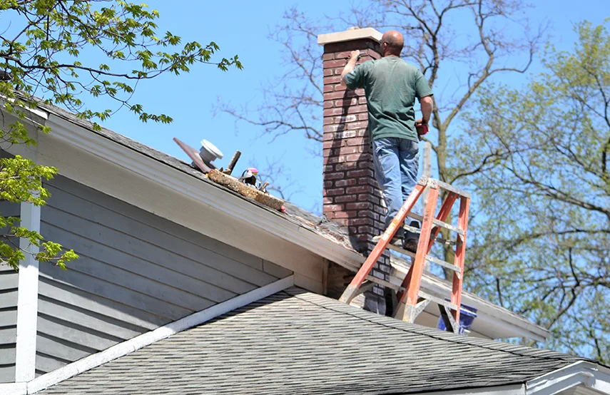 Chimney & Fireplace Inspections Services in Woodlawn, VA